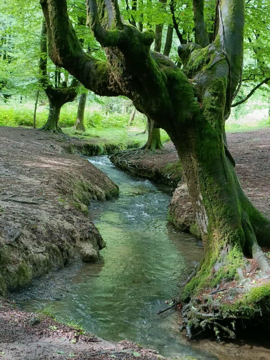 Río Borosa y Cerrada de Elías